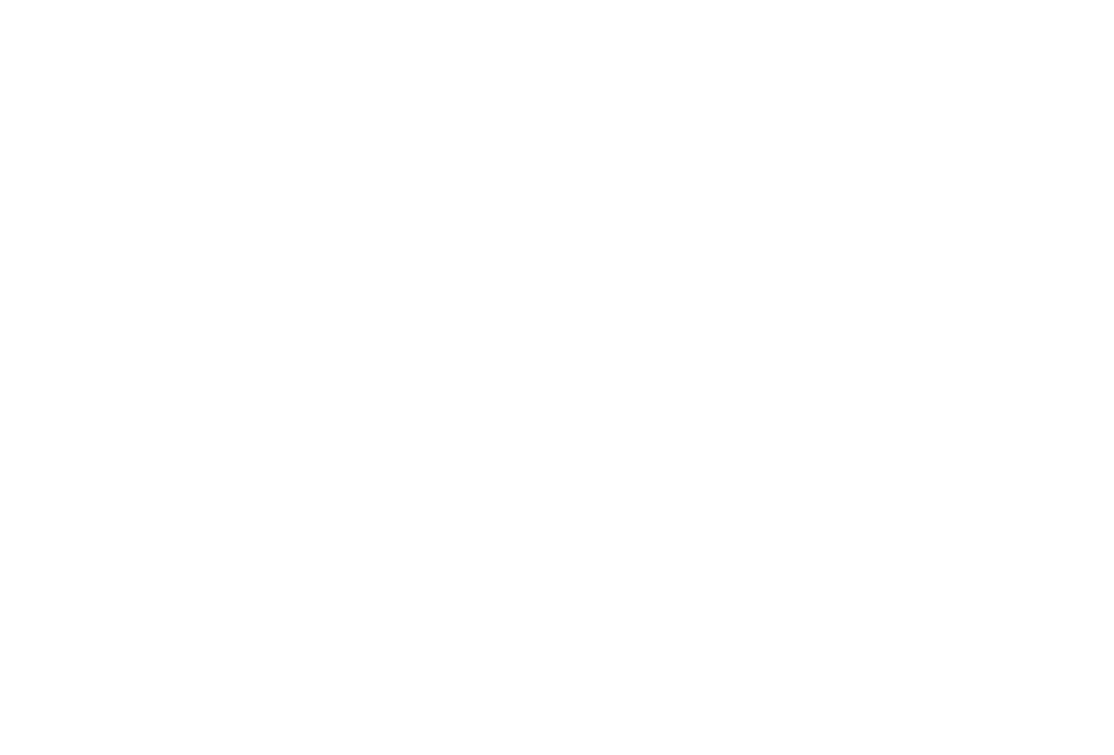 leapmotor